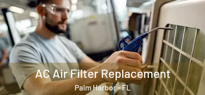  AC Air Filter Replacement Palm Harbor - FL