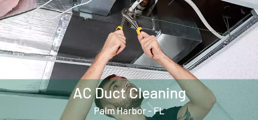  AC Duct Cleaning Palm Harbor - FL