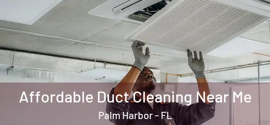  Affordable Duct Cleaning Near Me Palm Harbor - FL