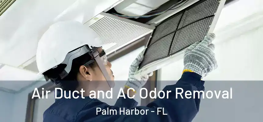  Air Duct and AC Odor Removal Palm Harbor - FL