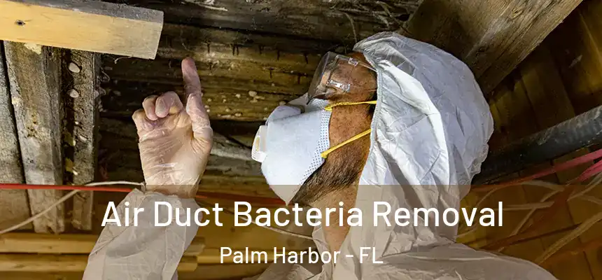  Air Duct Bacteria Removal Palm Harbor - FL