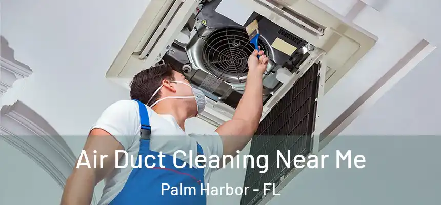  Air Duct Cleaning Near Me Palm Harbor - FL
