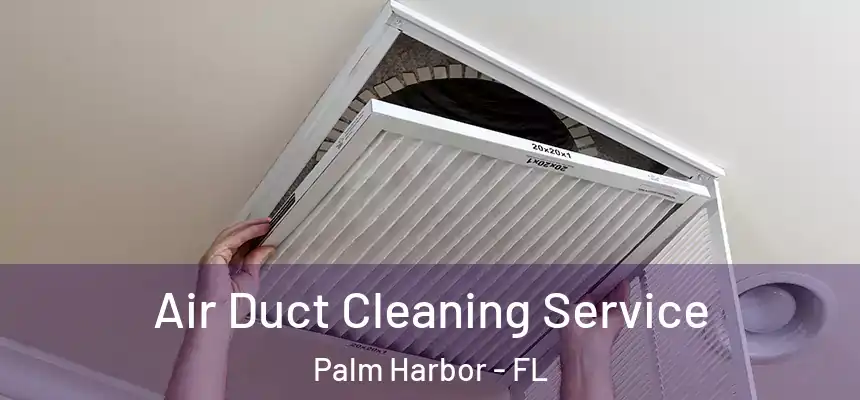  Air Duct Cleaning Service Palm Harbor - FL