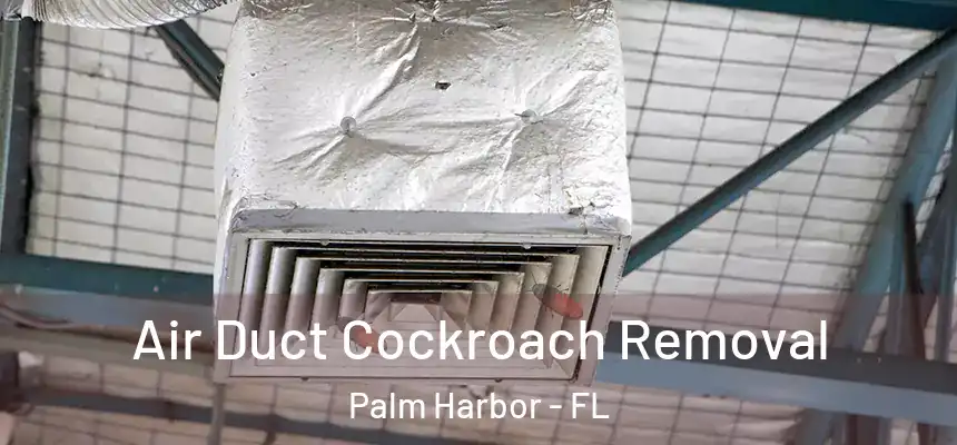  Air Duct Cockroach Removal Palm Harbor - FL