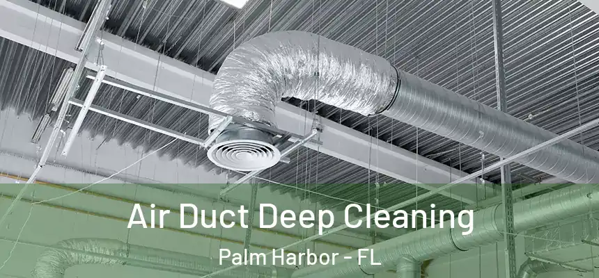  Air Duct Deep Cleaning Palm Harbor - FL