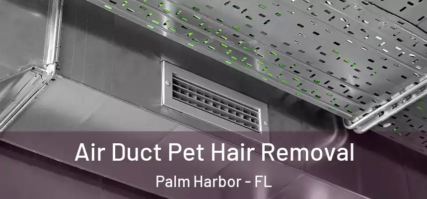  Air Duct Pet Hair Removal Palm Harbor - FL