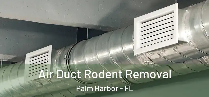  Air Duct Rodent Removal Palm Harbor - FL