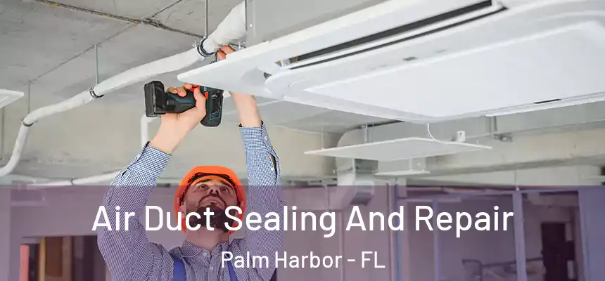  Air Duct Sealing And Repair Palm Harbor - FL