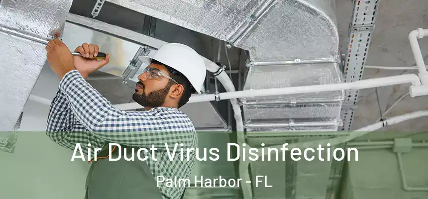  Air Duct Virus Disinfection Palm Harbor - FL