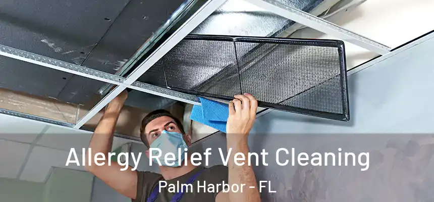  Allergy Relief Vent Cleaning Palm Harbor - FL
