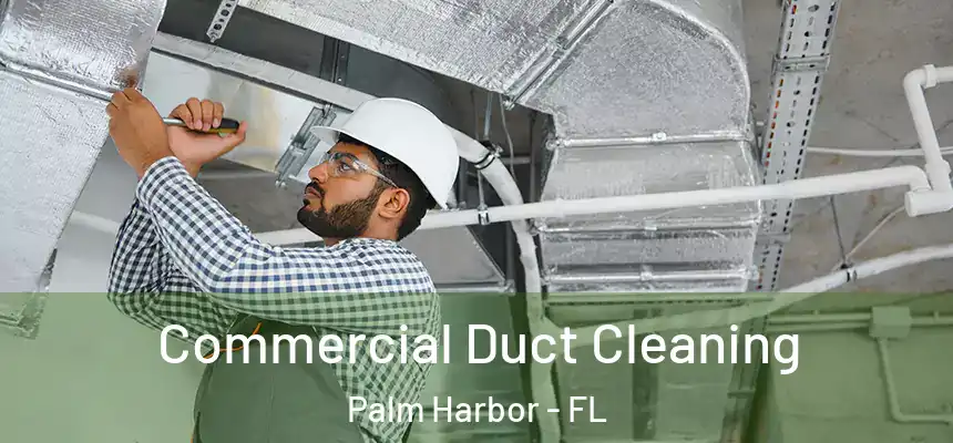  Commercial Duct Cleaning Palm Harbor - FL