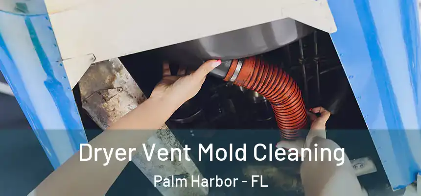  Dryer Vent Mold Cleaning Palm Harbor - FL