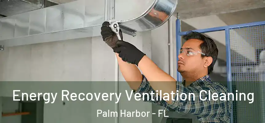  Energy Recovery Ventilation Cleaning Palm Harbor - FL