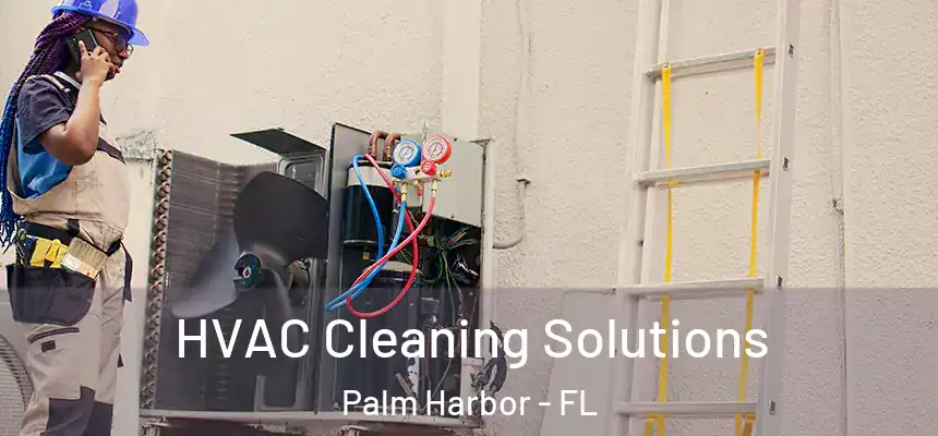  HVAC Cleaning Solutions Palm Harbor - FL