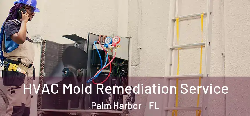  HVAC Mold Remediation Service Palm Harbor - FL