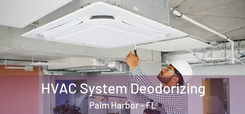  HVAC System Deodorizing Palm Harbor - FL