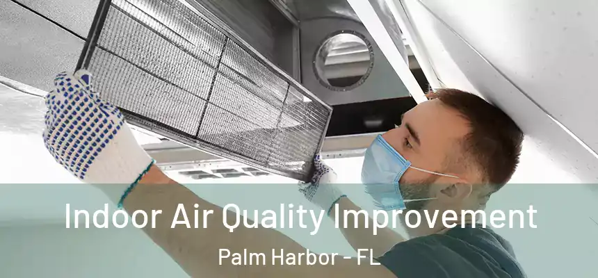  Indoor Air Quality Improvement Palm Harbor - FL