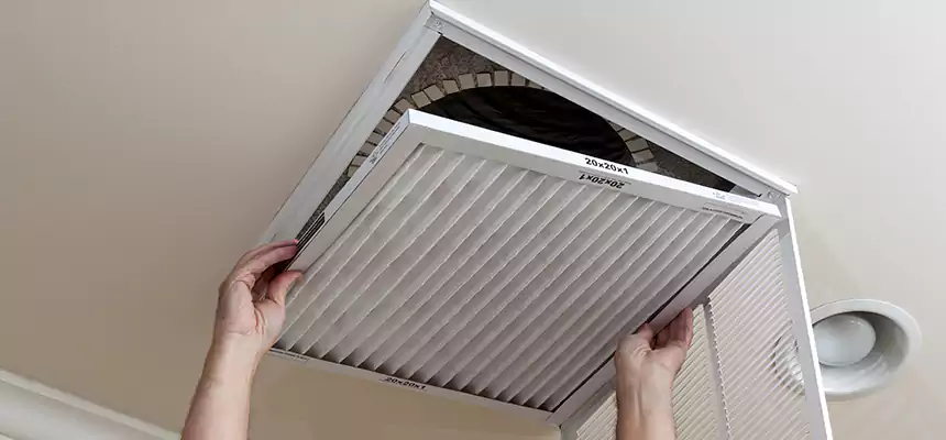 Robust Commercial Air Duct Cleaning in Palm Harbor