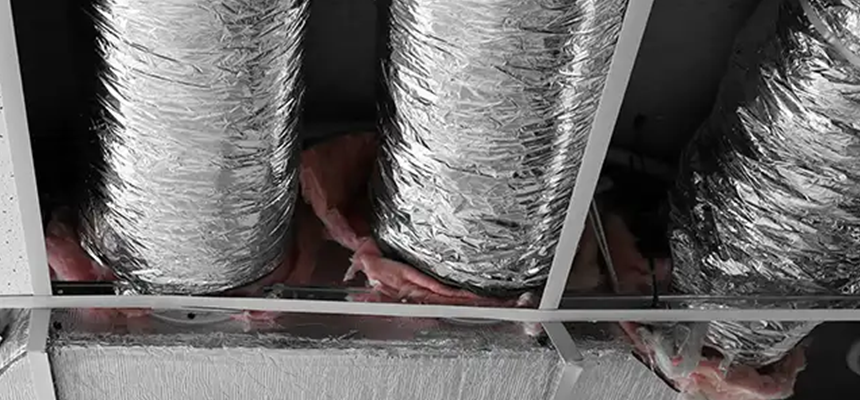 Scalable Commercial Multi‑Unit Dryer Vent Camera Inspection in Palm Harbor, FL