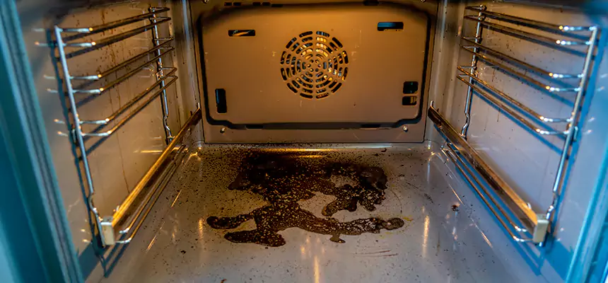 Our Dryer Vent Mold Cleaning Services in Palm Harbor, FL