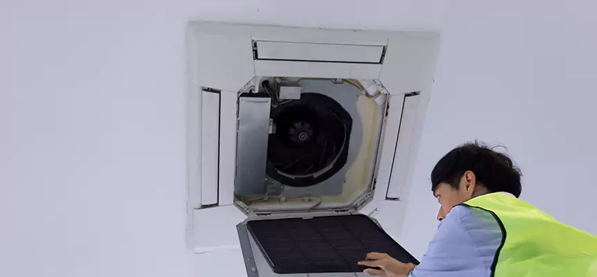 Our Dryer Vent Sanitization Service Services in Palm Harbor, FL