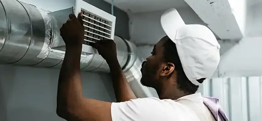 Our Licensed And Insured Cleaners in Palm Harbor, FL