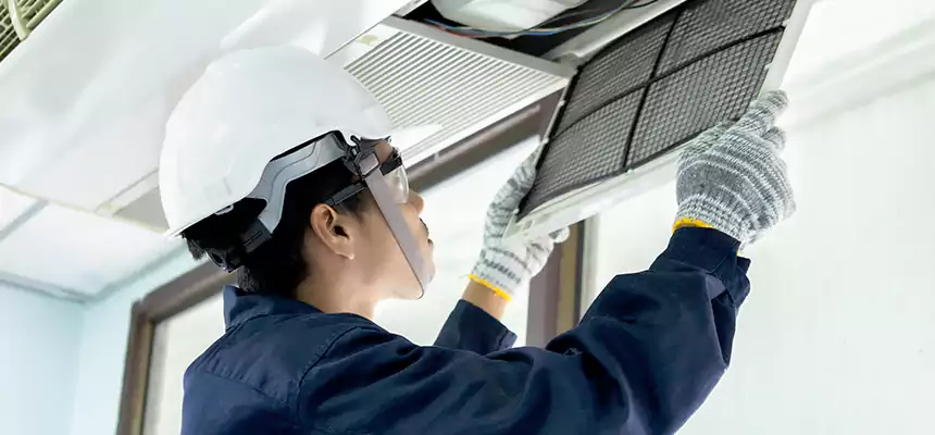 Our Mold & Mildew Removal from Air Ducts Services in Palm Harbor, FL