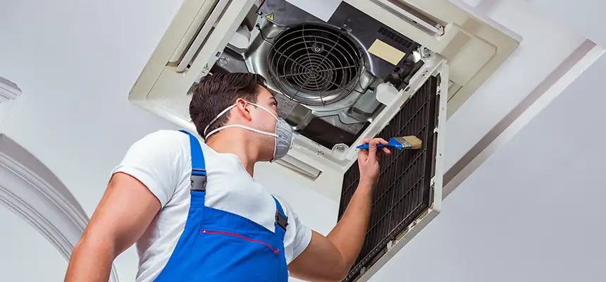 Our Move-in/Move-out Duct Cleaning Services in Palm Harbor, FL