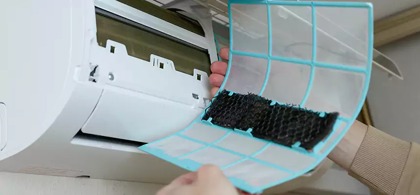 Gentle Ductwork Odor-Control Pet Dander Duct Cleaning in Palm Harbor, FL