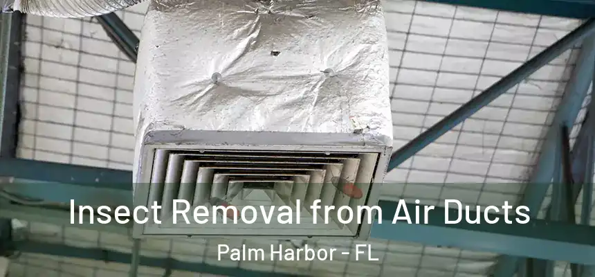  Insect Removal from Air Ducts Palm Harbor - FL