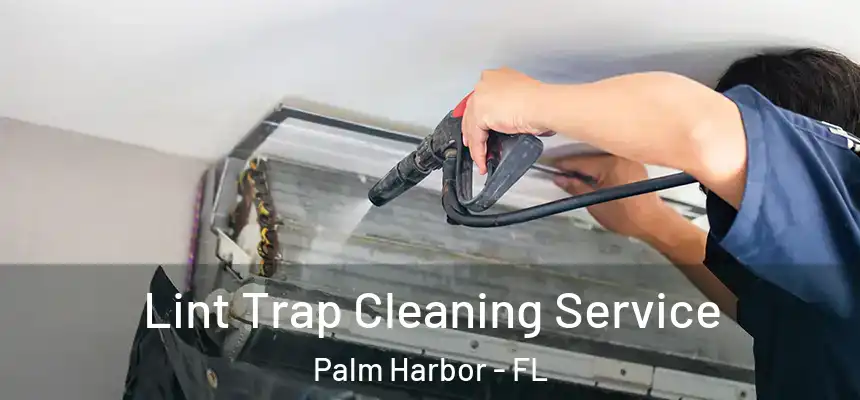  Lint Trap Cleaning Service Palm Harbor - FL
