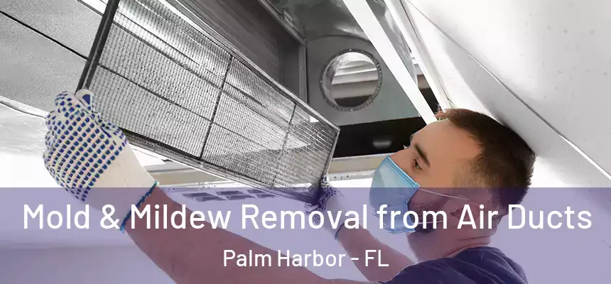  Mold & Mildew Removal from Air Ducts Palm Harbor - FL