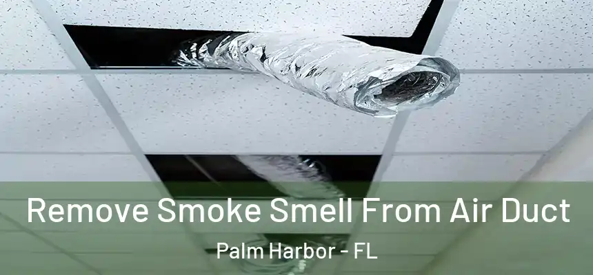  Remove Smoke Smell From Air Duct Palm Harbor - FL