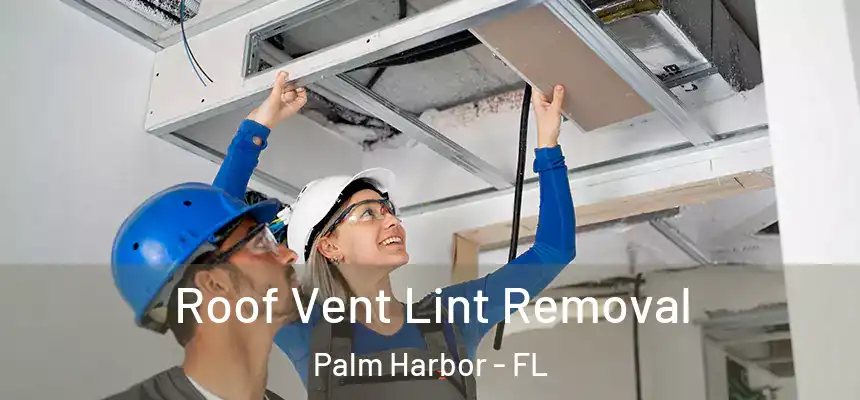  Roof Vent Lint Removal Palm Harbor - FL