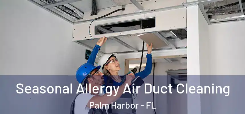  Seasonal Allergy Air Duct Cleaning Palm Harbor - FL