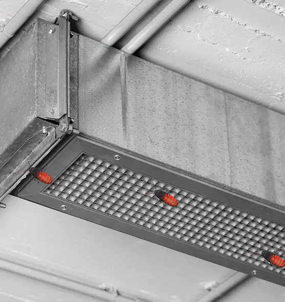 About Air Duct Cockroach Removal in Palm Harbor, FL
