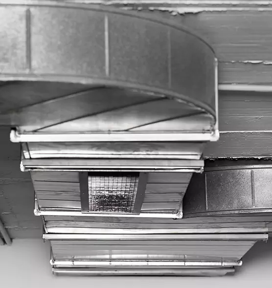 Professional Air Duct Pest Removal in Palm Harbor, FL