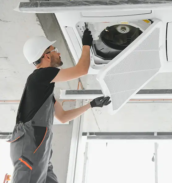 About Air Duct Rodent Removal in Palm Harbor, FL