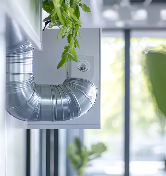 Professional Eco-Friendly Duct Cleaning Services in Palm Harbor, FL