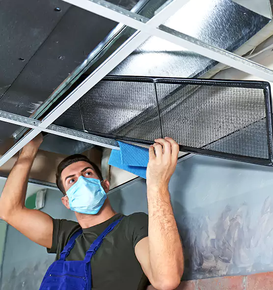 Professional Home Ventilation Cleaning in Palm Harbor, FL