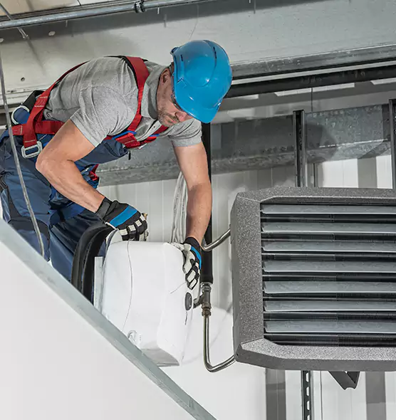 About HVAC Mold Remediation Service in Palm Harbor, FL