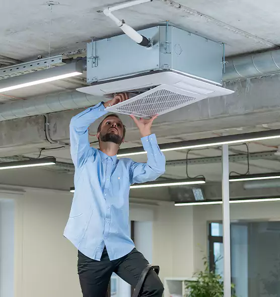 Advanced Rodent Droppings In Vents in Palm Harbor, FL