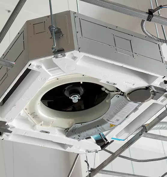 Professional Roof Vent Lint Removal Palm Harbor, FL