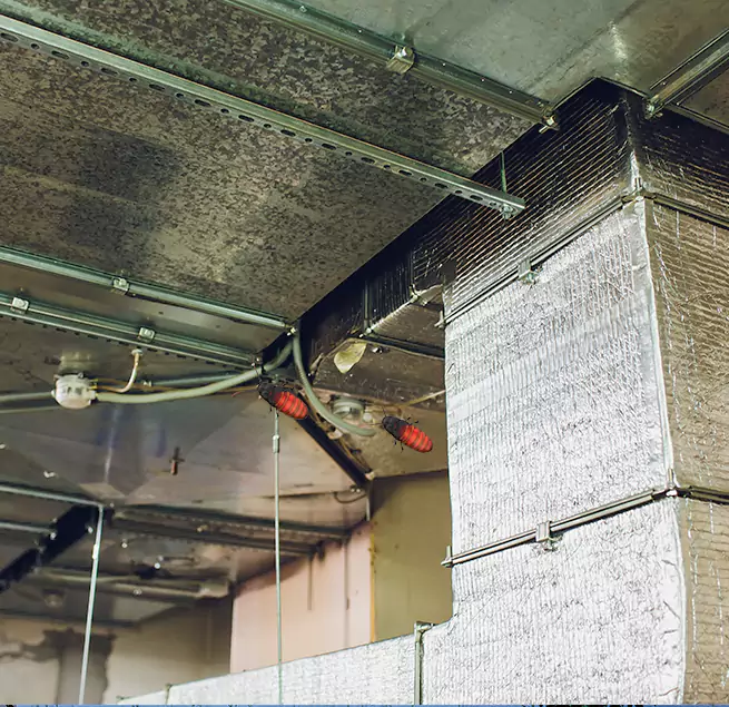 Why Homeowners & Businesses Trust Us in Palm Harbor, FL?