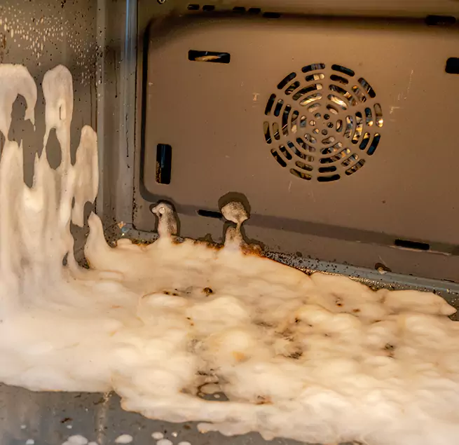 Why Homeowners & Businesses Trust Us in Palm Harbor, FL?