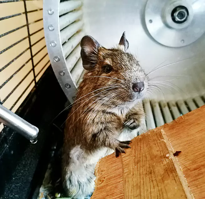 Why Homeowners & Businesses Trust Us Palm Harbor, FL