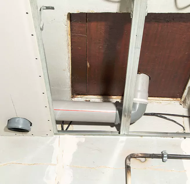 Why Homeowners & Businesses Trust Us in Palm Harbor, FL?