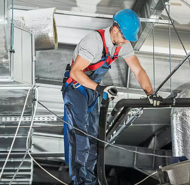 Why Homeowners & Businesses Trust Us in Palm Harbor, FL?