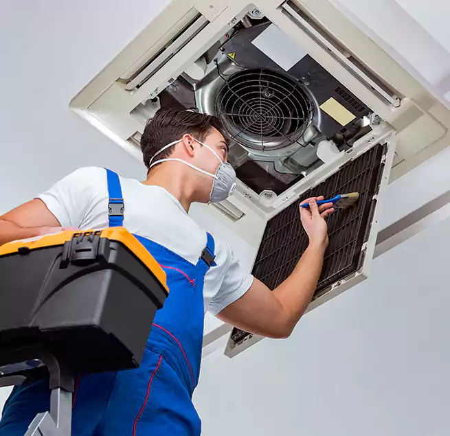 Why Homeowners & Businesses Trust Us in Palm Harbor, FL