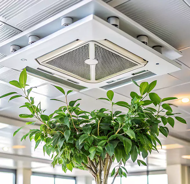 Why Homeowners & Businesses Trust Us in Palm Harbor, FL?